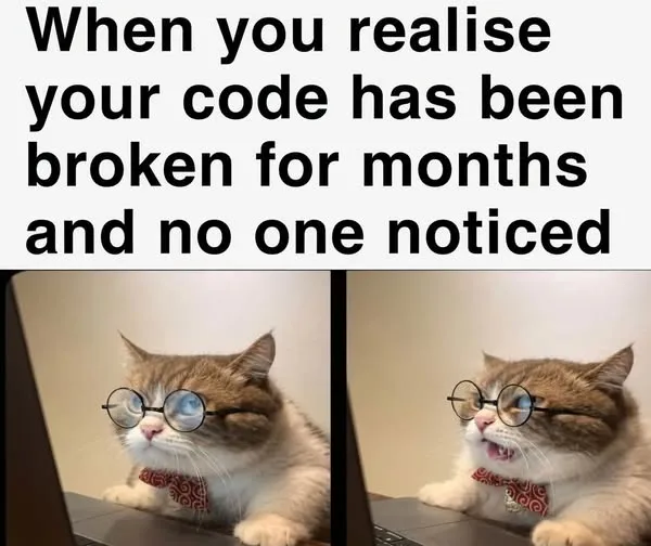 Cat meme: when you realise your code has been broken for months and no one noticed
